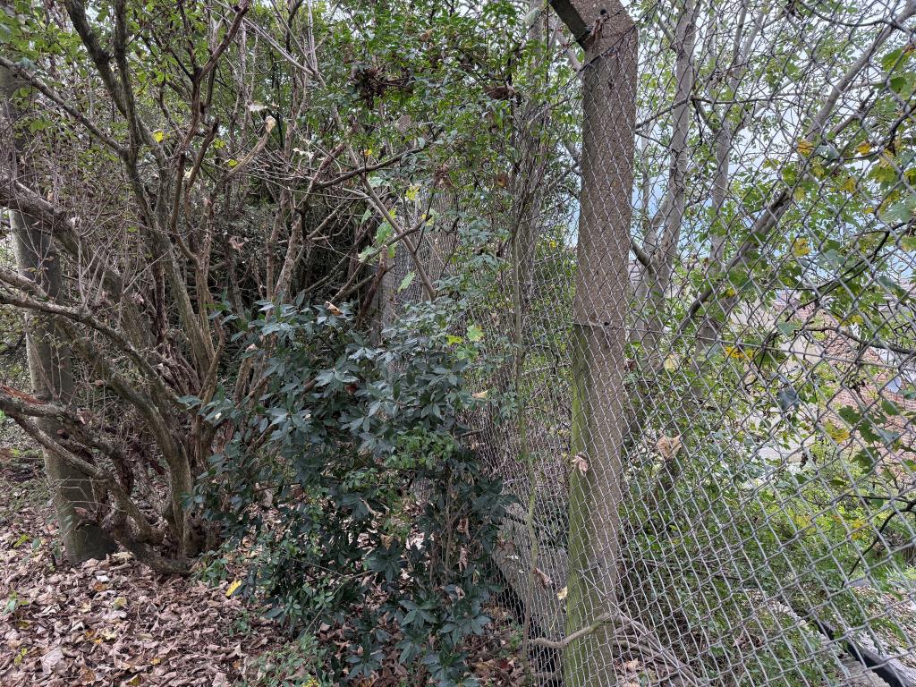 Lot: 90 - FORMER BUILDERS YARD WITH POTENTIAL (STNC) - Boundary fence to rear of site